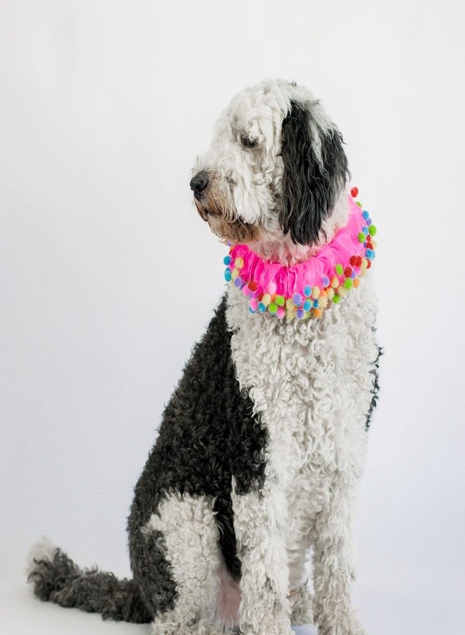 Midlee Pink Birthday Pom Pom Dog Collar (X-Large) - Image 3